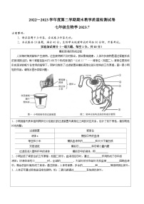 辽宁省大连市金普新区2022-2023学年七年级下学期期末生物试题（含答案）