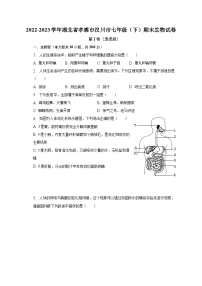 2022-2023学年湖北省孝感市汉川市七年级（下）期末生物试卷（含解析）