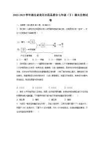 2022-2023学年湖北省黄冈市四县联合七年级（下）期末生物试卷（含解析）