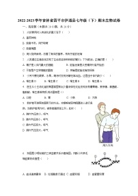 2022-2023学年吉林省四平市伊通县七年级（下）期末生物试卷（含解析）