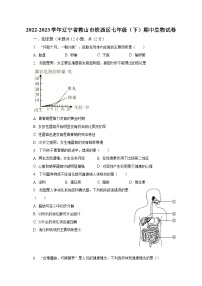 2022-2023学年辽宁省鞍山市铁西区七年级（下）期中生物试卷（含解析）