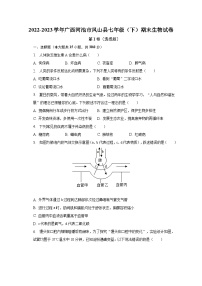 2022-2023学年广西河池市凤山县七年级（下）期末生物试卷（含解析）