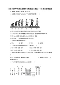 2022-2023学年湖北省襄阳市樊城区七年级（下）期末生物试卷（含解析）