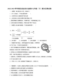 2022-2023学年湖北省宜昌市宜都市七年级（下）期末生物试卷（含解析）
