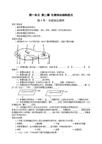 冀少版七年级上册第四节 单细胞生物体优秀导学案