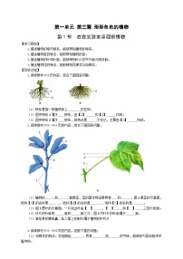 冀少版七年级上册第一单元  我们身边的生命世界第三章  形形色色的植物第一节  在实验室里观察植物优秀学案及答案