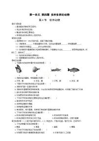 初中生物冀少版七年级上册第四节 软体动物优质学案设计