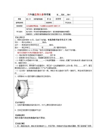 初中生物鲁科版 (五四制)六年级上册第二单元 生物体的结构层次第一章 观察细胞的结构第二节 观察植物细胞优秀学案