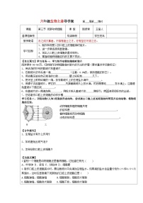 鲁科版 (五四制)六年级上册第三节 观察动物细胞优秀学案设计