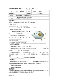 初中生物鲁科版 (五四制)六年级上册第一节 细胞的生活优秀学案设计