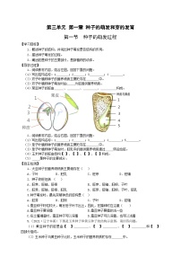 冀少版 初中生物 八年级上册 3.1.1种子的萌发过程 （学案）