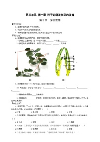 冀少版八年级上册第三节 芽的发育优秀学案设计