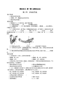 初中生物冀少版八年级上册第二节 运动的完成优秀学案