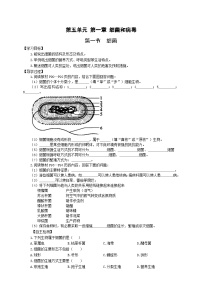 初中生物冀少版八年级上册第一节 细菌优秀学案及答案