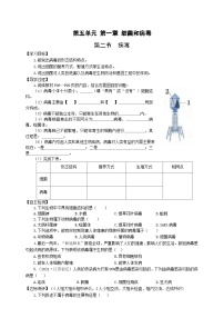 初中生物冀少版八年级上册第二节 病毒优秀导学案及答案