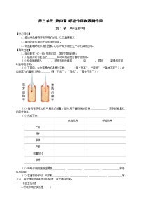 初中生物冀少版八年级上册第一节 呼吸作用精品精练