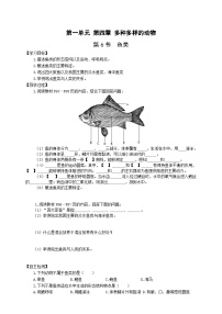 冀少版七年级上册第六节  鱼类精品随堂练习题