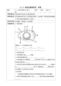 初中生物济南版八年级上册第三节 鸟的生殖和发育优质学案