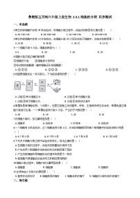 生物六年级上册第一节 细胞的分裂优秀同步测试题