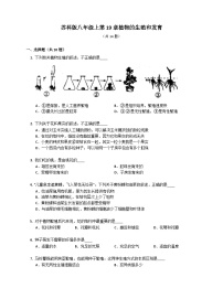 【苏科版】生物八年级上册 第19章植物的生殖和发育同步练习（含答案）