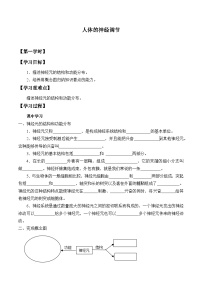 初中生物苏科版八年级上册1 人体的神经调节优秀学案