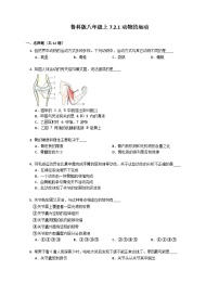 鲁科版 (五四制)八年级上册第一节 动物的运动精品随堂练习题