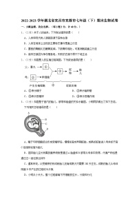 2022-2023学年湖北省宜昌市宜都市七年级下学期期末生物试卷（含解析）