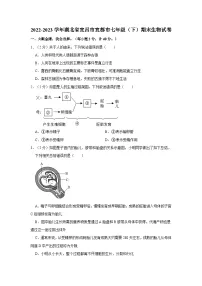 2022-2023学年湖北省宜昌市宜都市七年级下学期期末生物试卷（含解析）