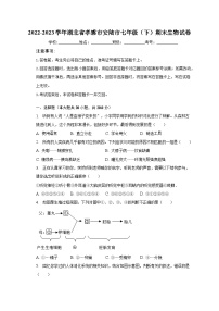 2022-2023学年湖北省孝感市安陆市七年级（下）期末生物试卷（含解析）