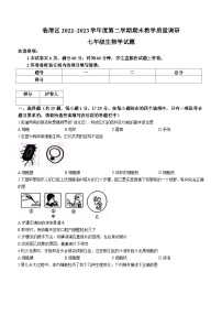 陕西省渭南市临渭区2022-2023学年七年级下学期期末生物试题（含答案）