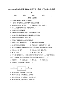 江西省景德镇市乐平市2022-2023学年七年级下学期期末生物试卷（含答案）