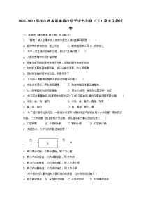 2022-2023学年江西省景德镇市乐平市七年级（下）期末生物试卷（含解析）