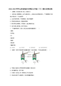 2022-2023学年山东省临沂市费县七年级（下）期末生物试卷（含解析）