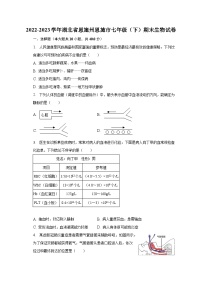 2022-2023学年湖北省恩施州恩施市七年级（下）期末生物试卷（含解析）