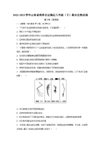 2022-2023学年山东省菏泽市定陶区八年级（下）期末生物试卷（含解析）