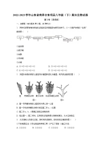 2022-2023学年山东省菏泽市东明县八年级（下）期末生物试卷（含解析）