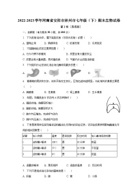 2022-2023学年河南省安阳市林州市七年级（下）期末生物试卷（含解析）