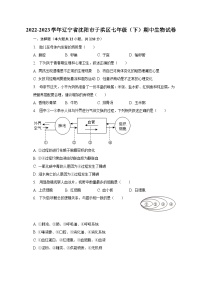 2022-2023学年辽宁省沈阳市于洪区七年级（下）期中生物试卷（含解析）