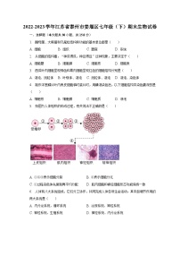 2022-2023学年江苏省泰州市姜堰区七年级（下）期末生物试卷（含解析）