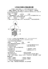 辽宁省铁岭市昌图县2022-2023学年七年级下学期生物期末考试卷（含答案）