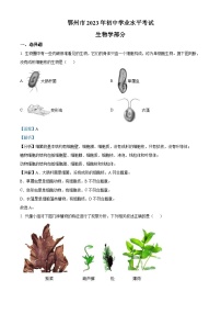 2023年湖北省鄂州市中考生物真题（含解析）