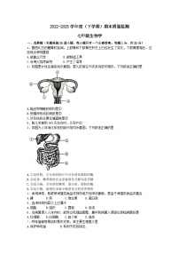 吉林省长春市朝阳区2022-2023学年七年级下学期期末考试生物试题