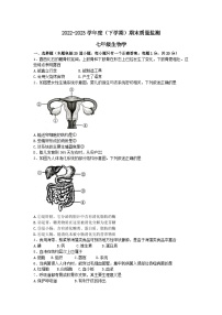 吉林省长春市朝阳区2022-2023学年七年级下学期期末考试生物试题（含答案）