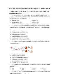 2022-2023学年山东省日照市五莲县七年级下学期期末生物试卷（含解析）