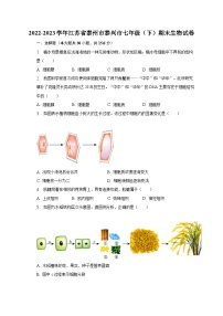 2022-2023学年江苏省泰州市泰兴市七年级（下）期末生物试卷（含解析）