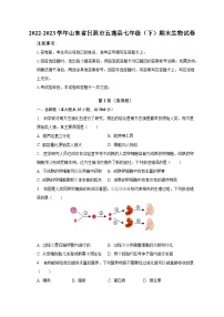 2022-2023学年山东省日照市五莲县七年级（下）期末生物试卷（含解析）