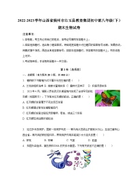 2022-2023学年山西省朔州市右玉县教育集团初中部八年级（下）期末生物试卷（含解析）