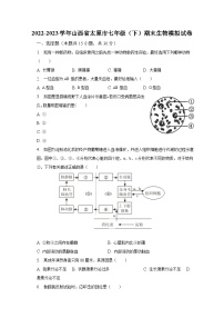 2022-2023学年山西省太原市七年级（下）期末生物模拟试卷（含解析）