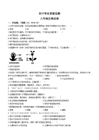 河北省邯郸市大名县2022-2023学年八年级下学期开学考试生物试题