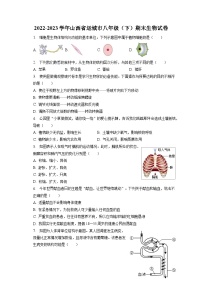 山西省运城市2022-2023学年八年级下学期期末生物试卷